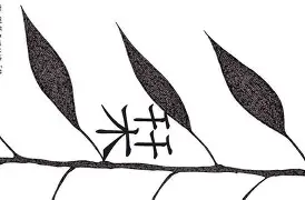 满冠官方入口 -z謌`灆??栞F?鵃逋樣!^?的简单介绍